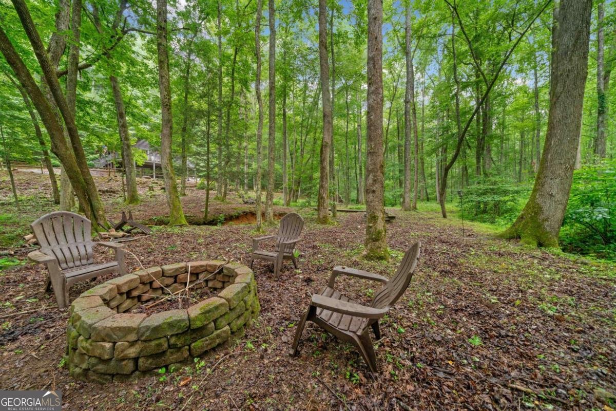 64 BEAR BELLY Path Ellijay - 19