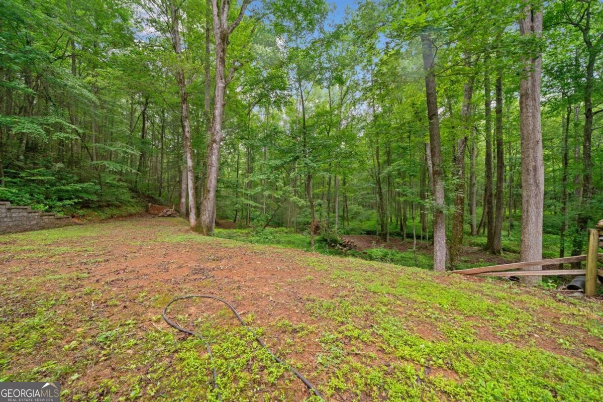 64 BEAR BELLY Path Ellijay - 20