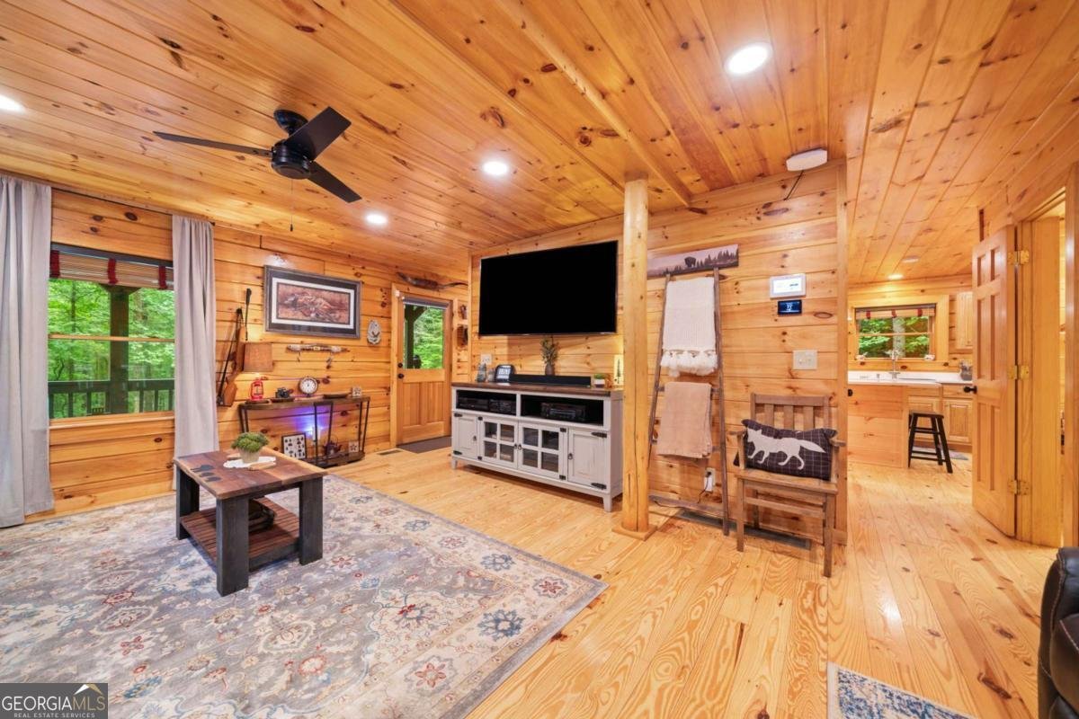 64 BEAR BELLY Path Ellijay - 23