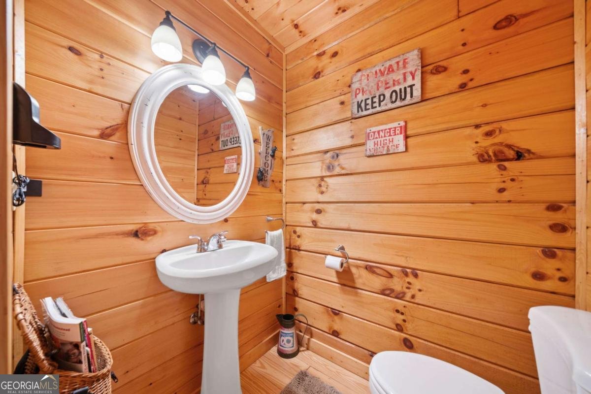 64 BEAR BELLY Path Ellijay - 25