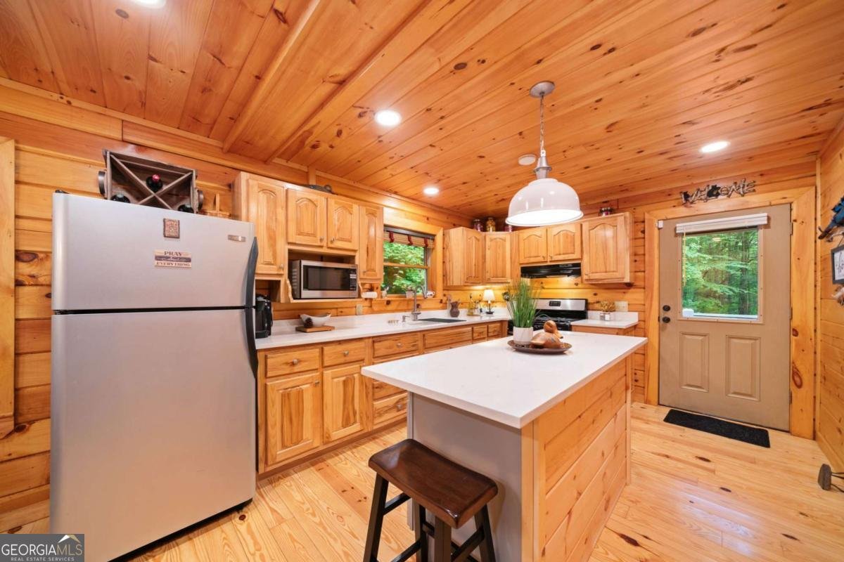 64 BEAR BELLY Path Ellijay - 27