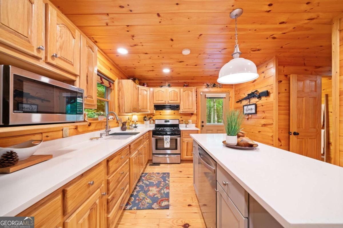 64 BEAR BELLY Path Ellijay - 28