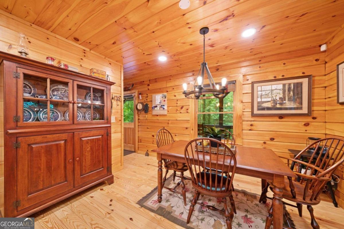 64 BEAR BELLY Path Ellijay - 29