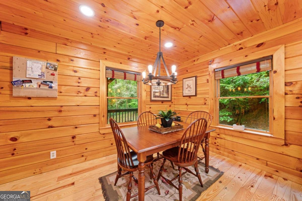 64 BEAR BELLY Path Ellijay - 30