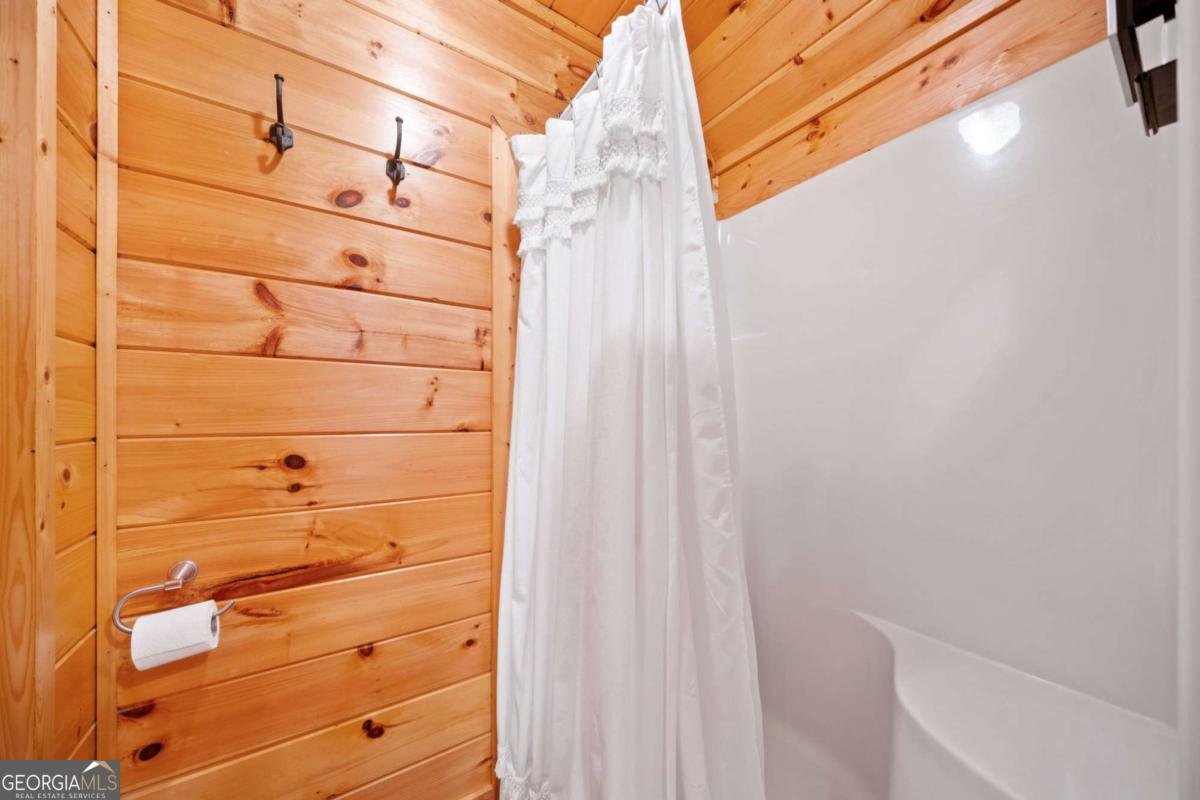 64 BEAR BELLY Path Ellijay - 34