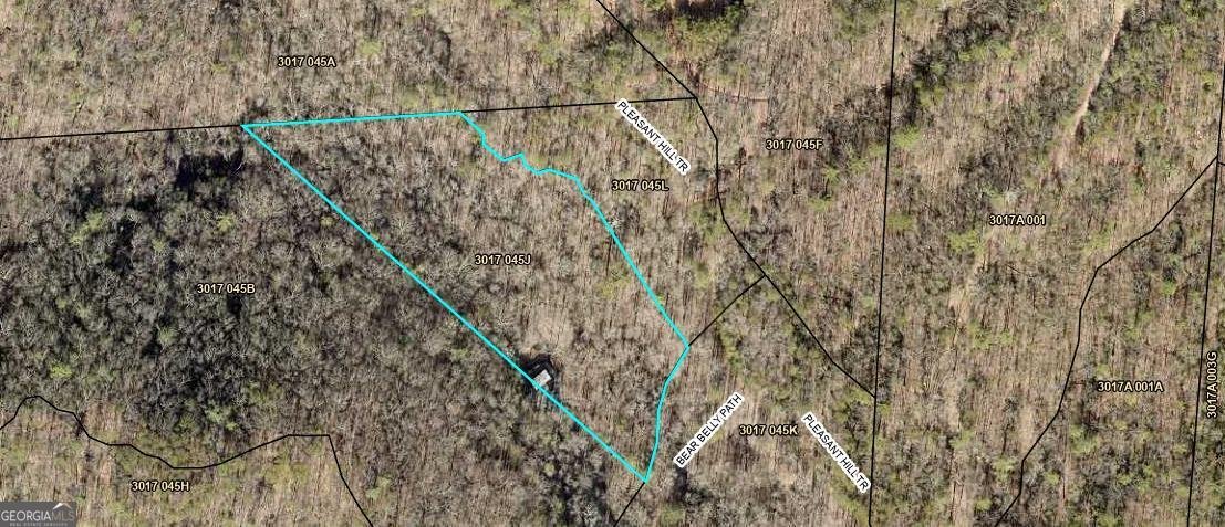 64 BEAR BELLY Path Ellijay - 40