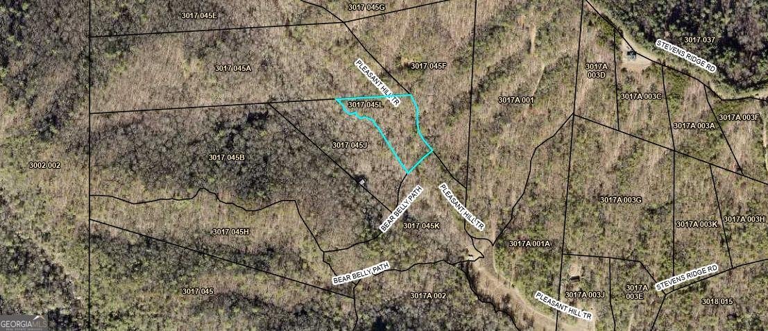 64 BEAR BELLY Path Ellijay - 41