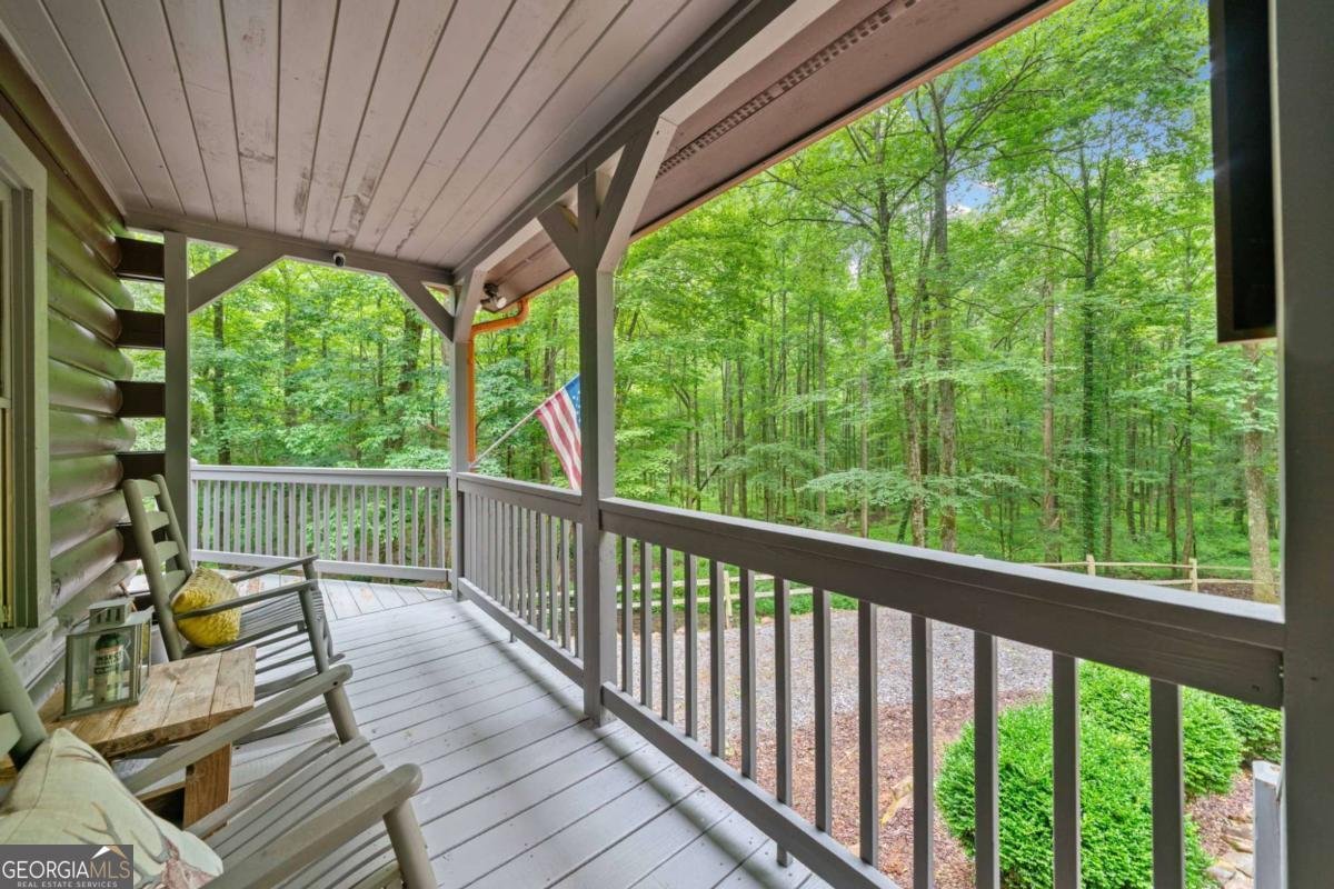 64 BEAR BELLY Path Ellijay - 8