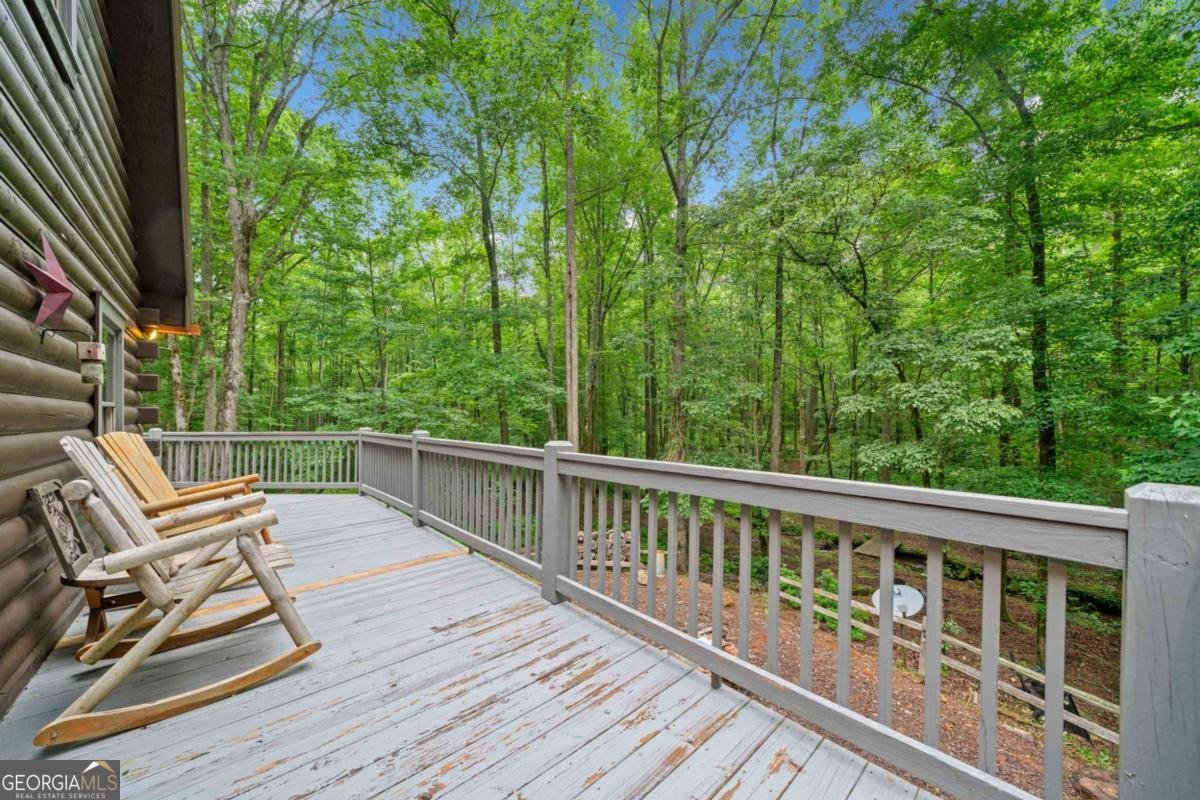 64 BEAR BELLY Path Ellijay - 9