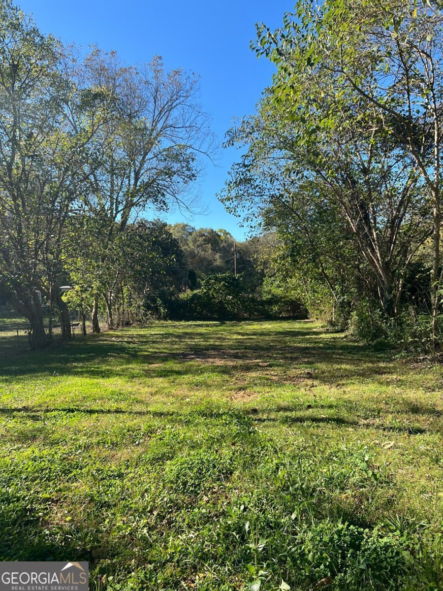 1003 Fairview Avenue Cedartown - 19