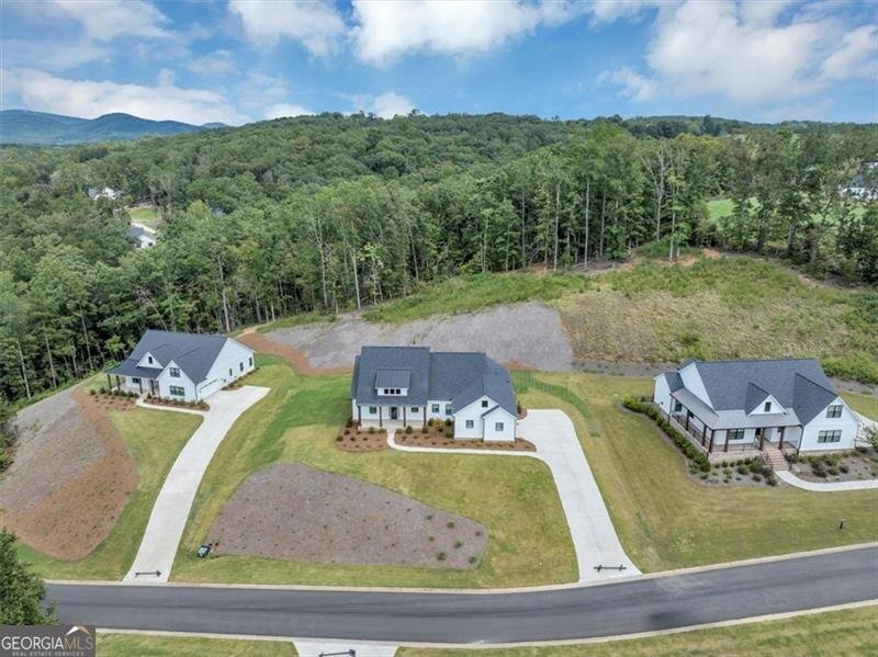 354 Oxford Road Ball Ground - 29