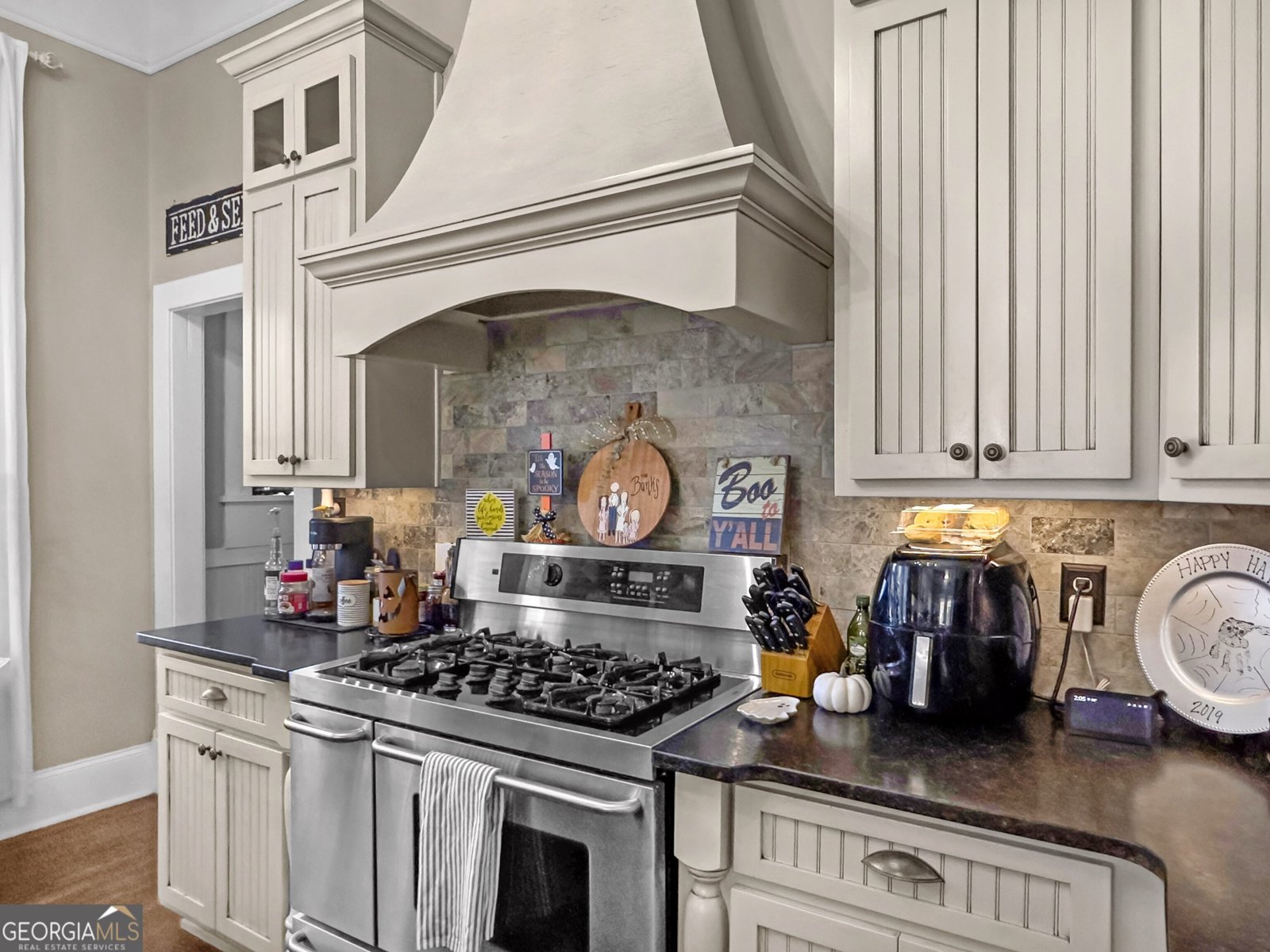 225 Indian Springs Drive Forsyth - 18