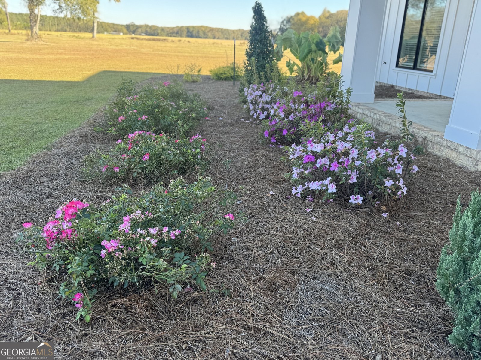 1665 Walke Dairy Road Dublin - 32