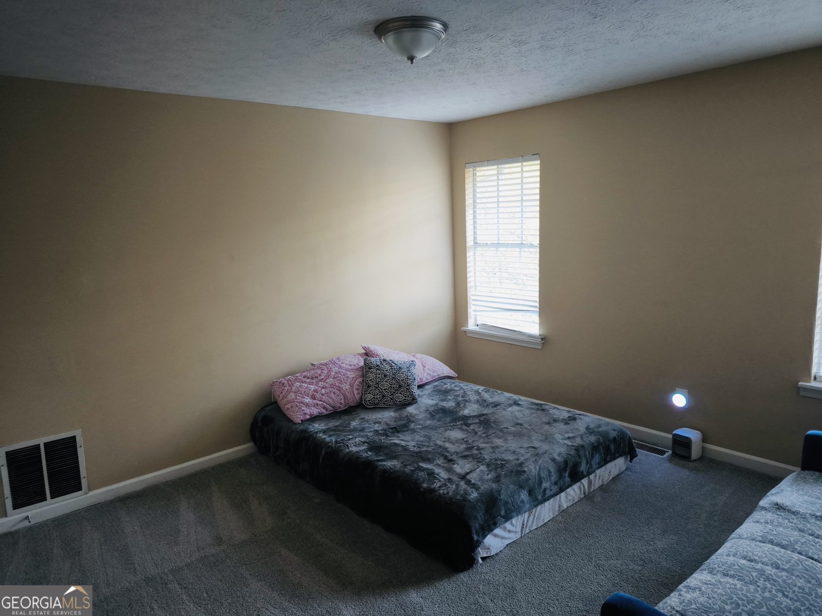 6570 Smoke Ridge Drive South Fulton - 12