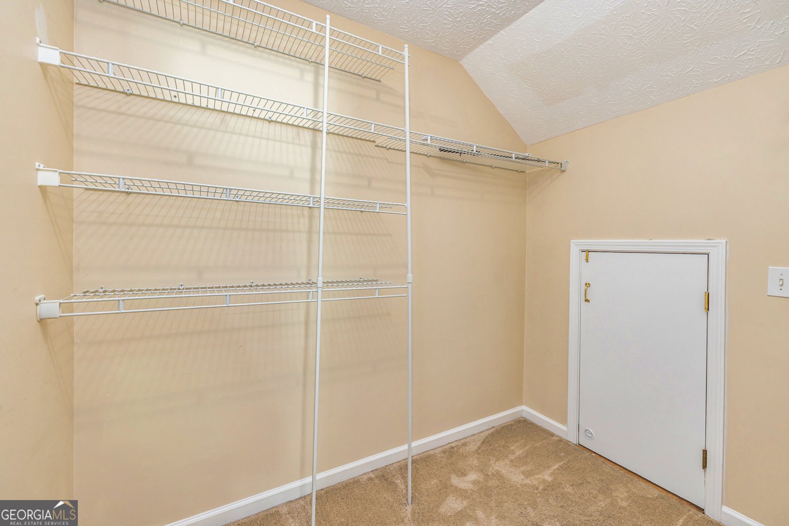 514 Clearwater Cove Peachtree City - 29