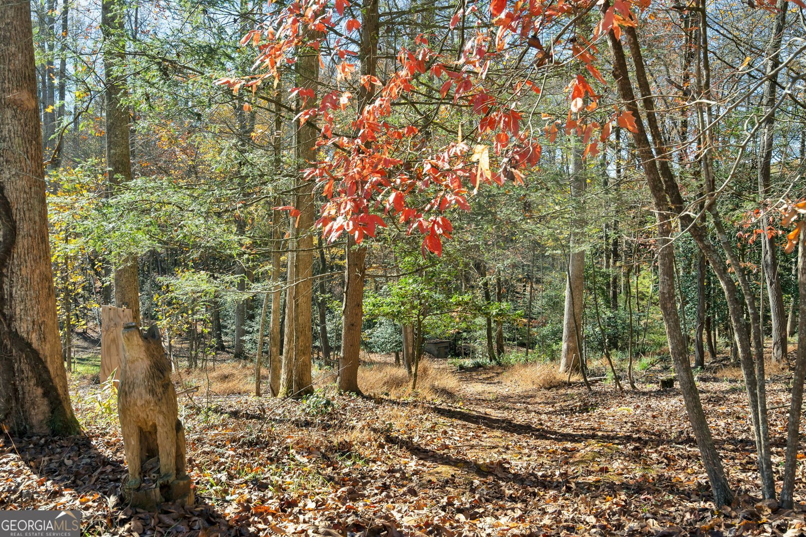 1099 Lickskillet Circle Epworth - 33