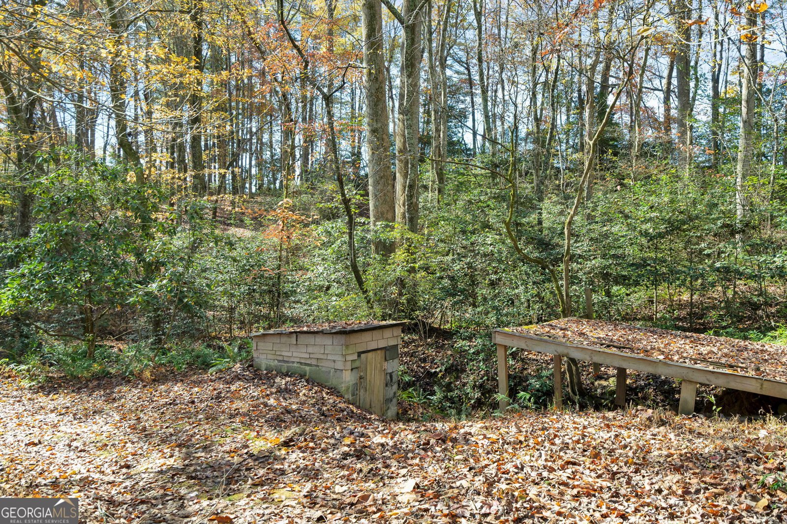 1099 Lickskillet Circle Epworth - 34