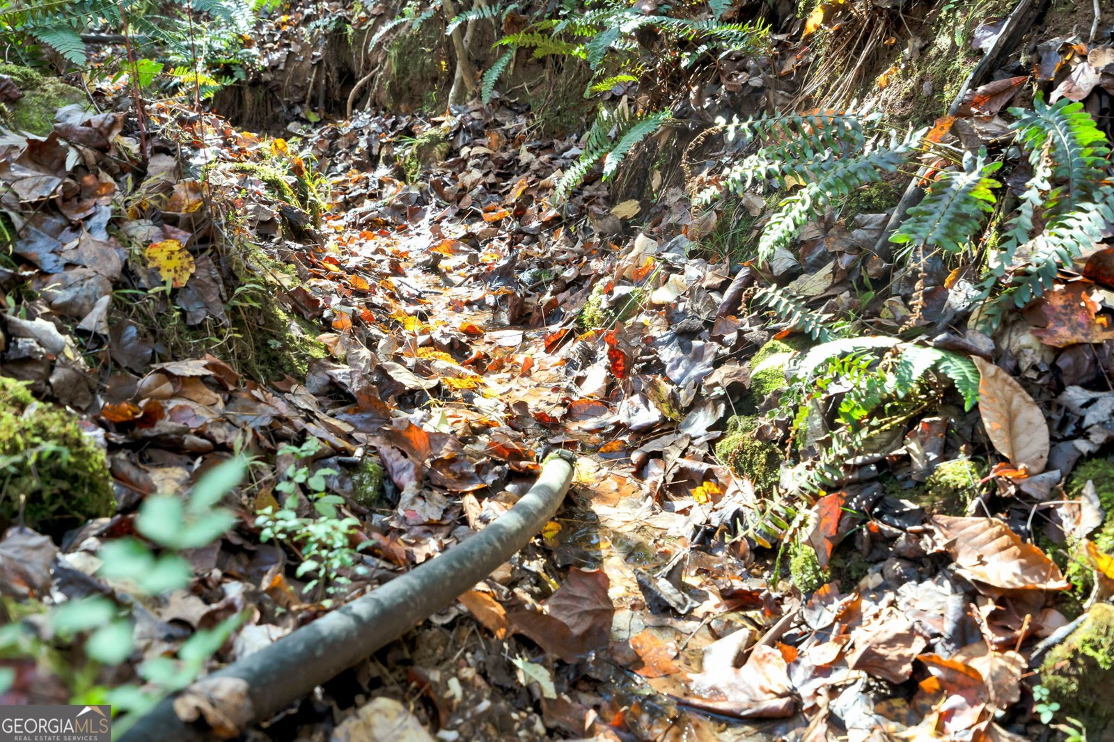 1099 Lickskillet Circle Epworth - 35