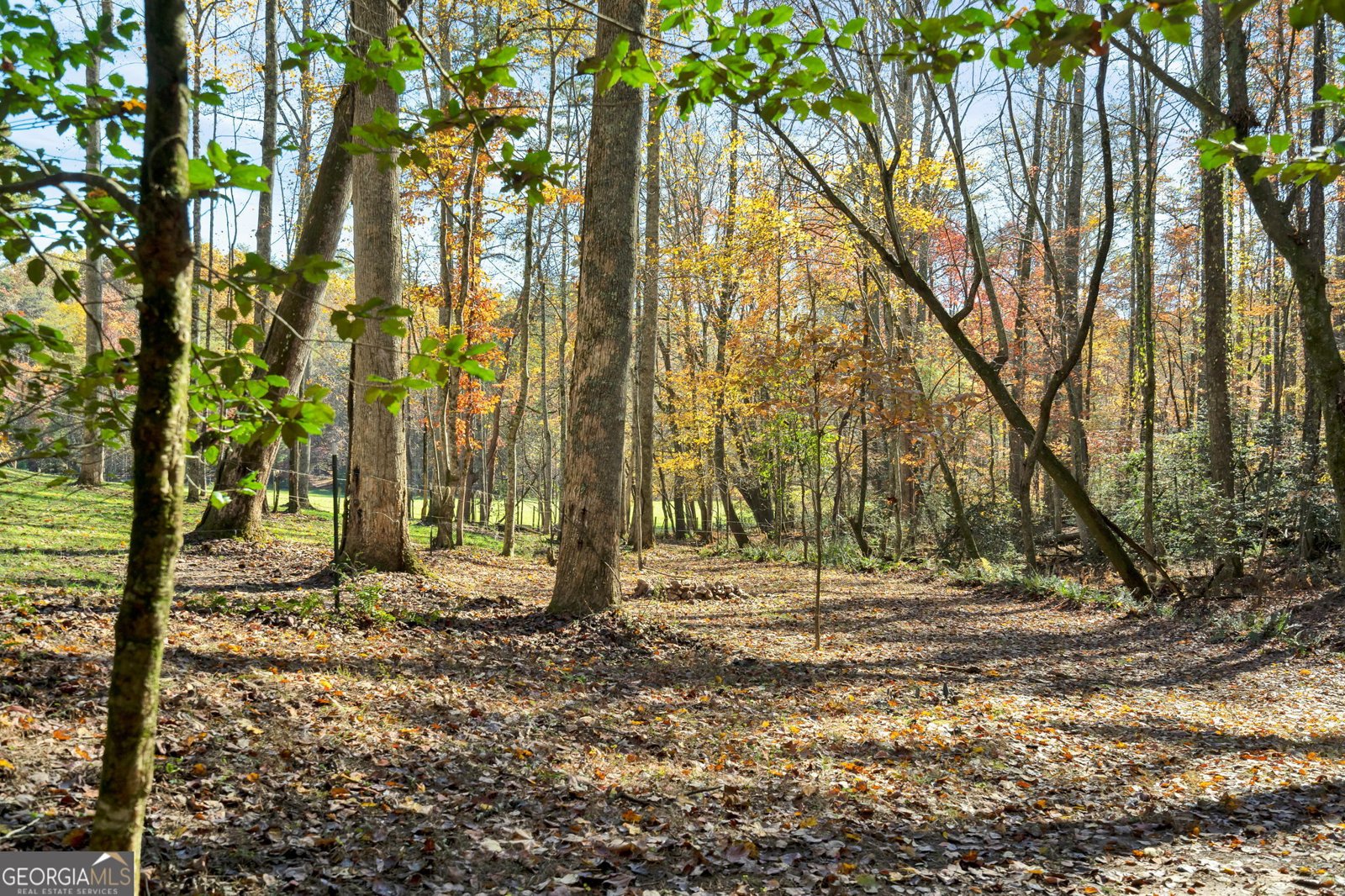 1099 Lickskillet Circle Epworth - 36