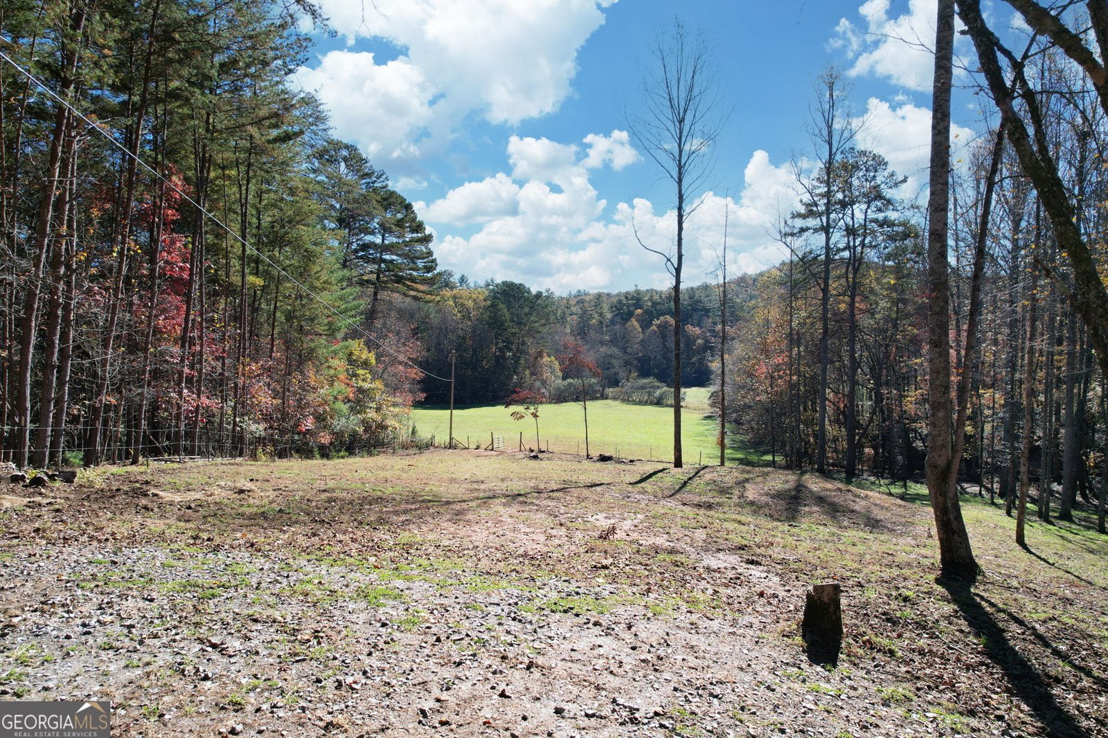 1099 Lickskillet Circle Epworth - 42