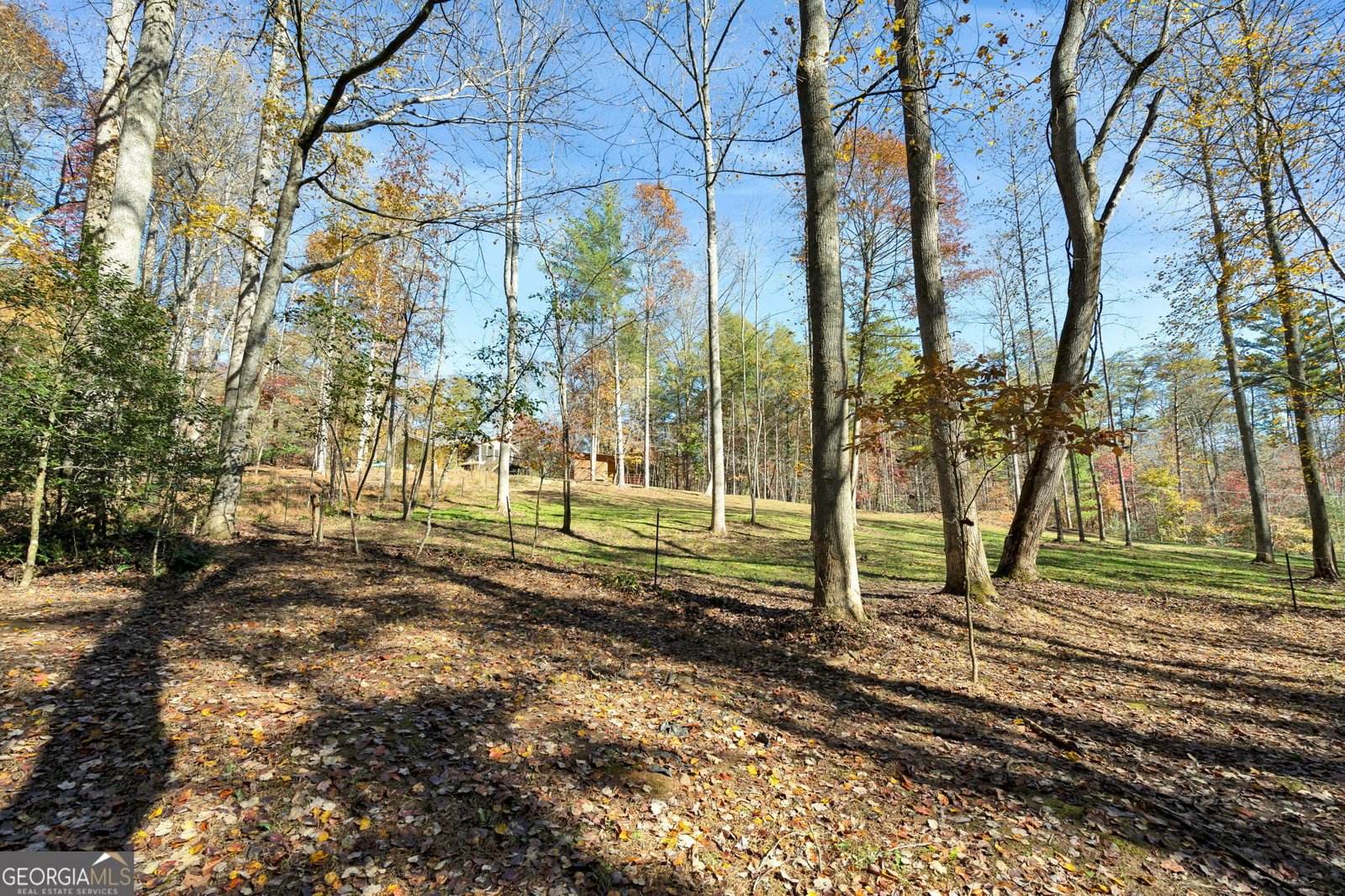 1099 Lickskillet Circle Epworth - 43