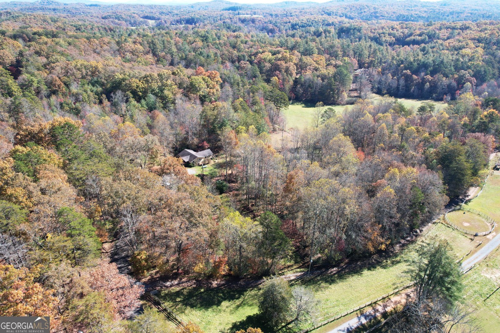 1099 Lickskillet Circle Epworth - 45