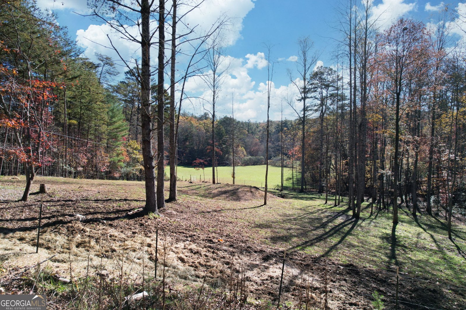 1099 Lickskillet Circle Epworth - 46