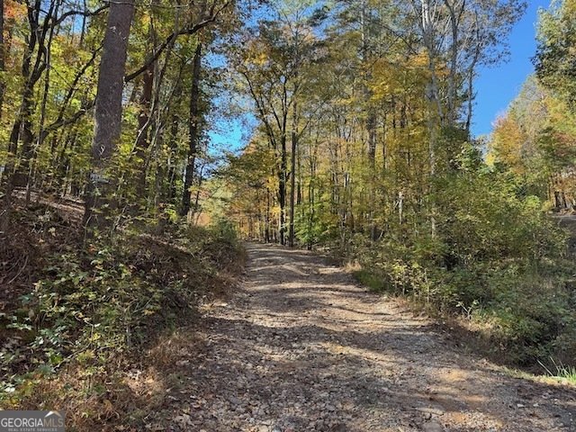 1303 Mitchell Circle Summerville - 32