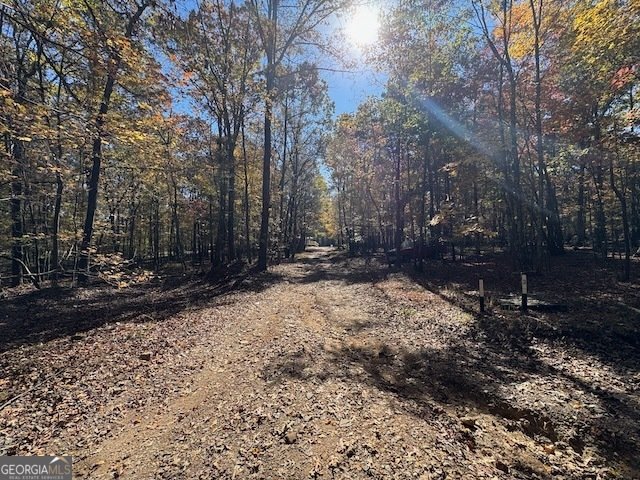 1303 Mitchell Circle Summerville - 34