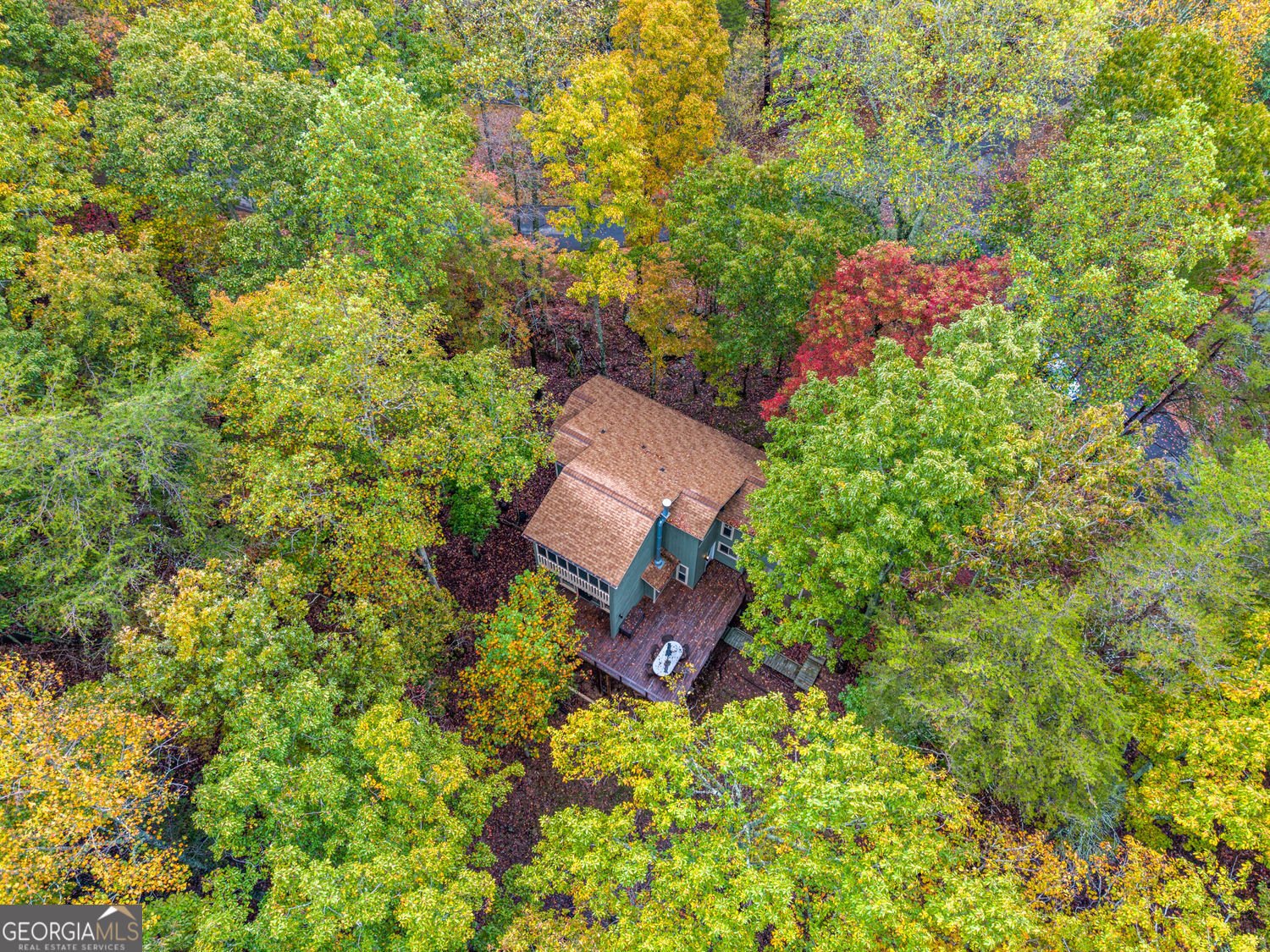 102 Jack Pine Court Waleska - 48