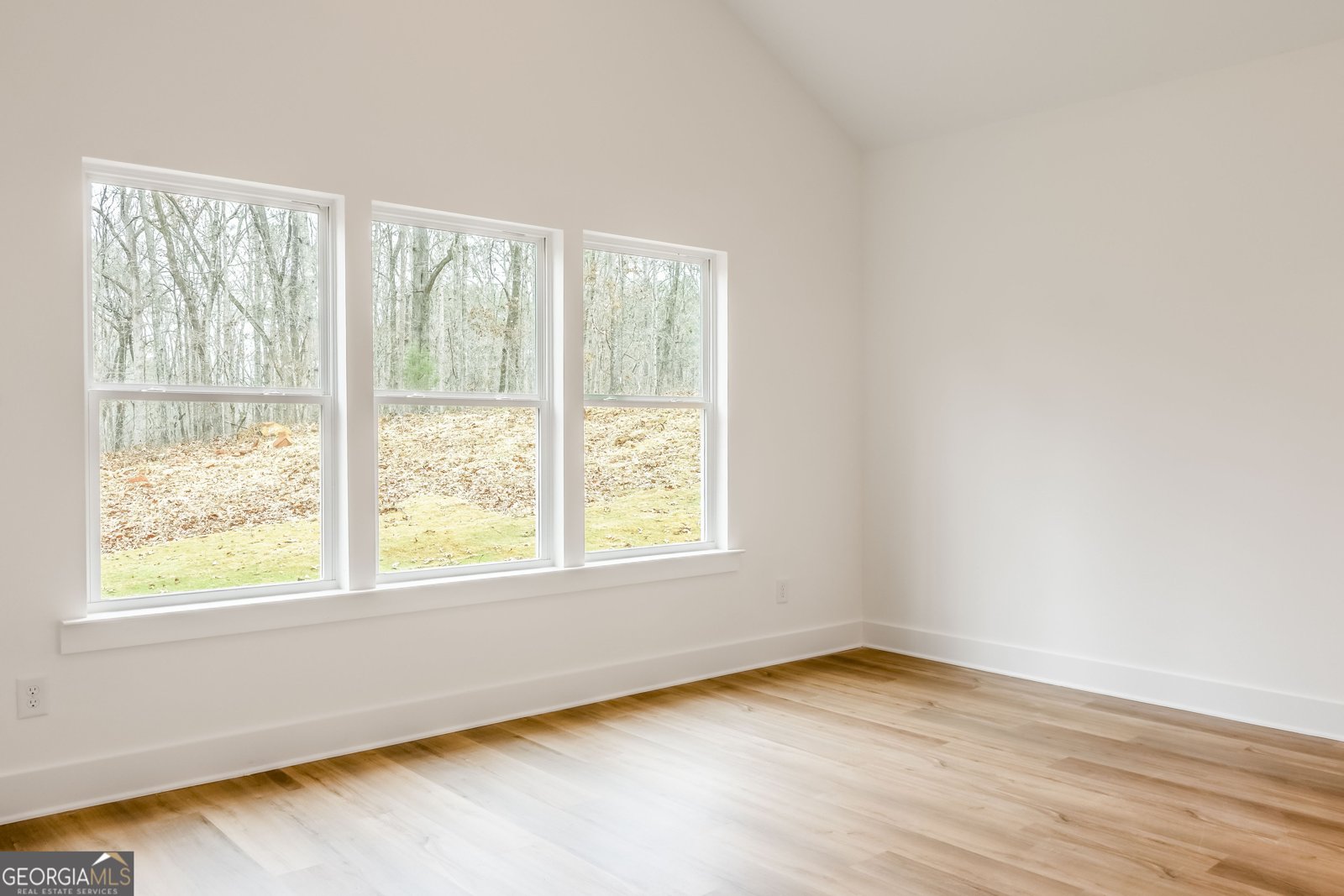 711 Hunter Welch Parkway Luthersville - 11