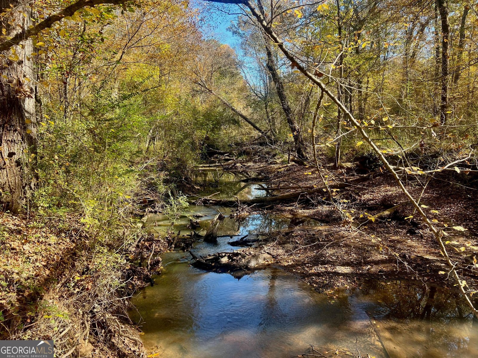 486 Sweetwater Bend Villa Rica - 3