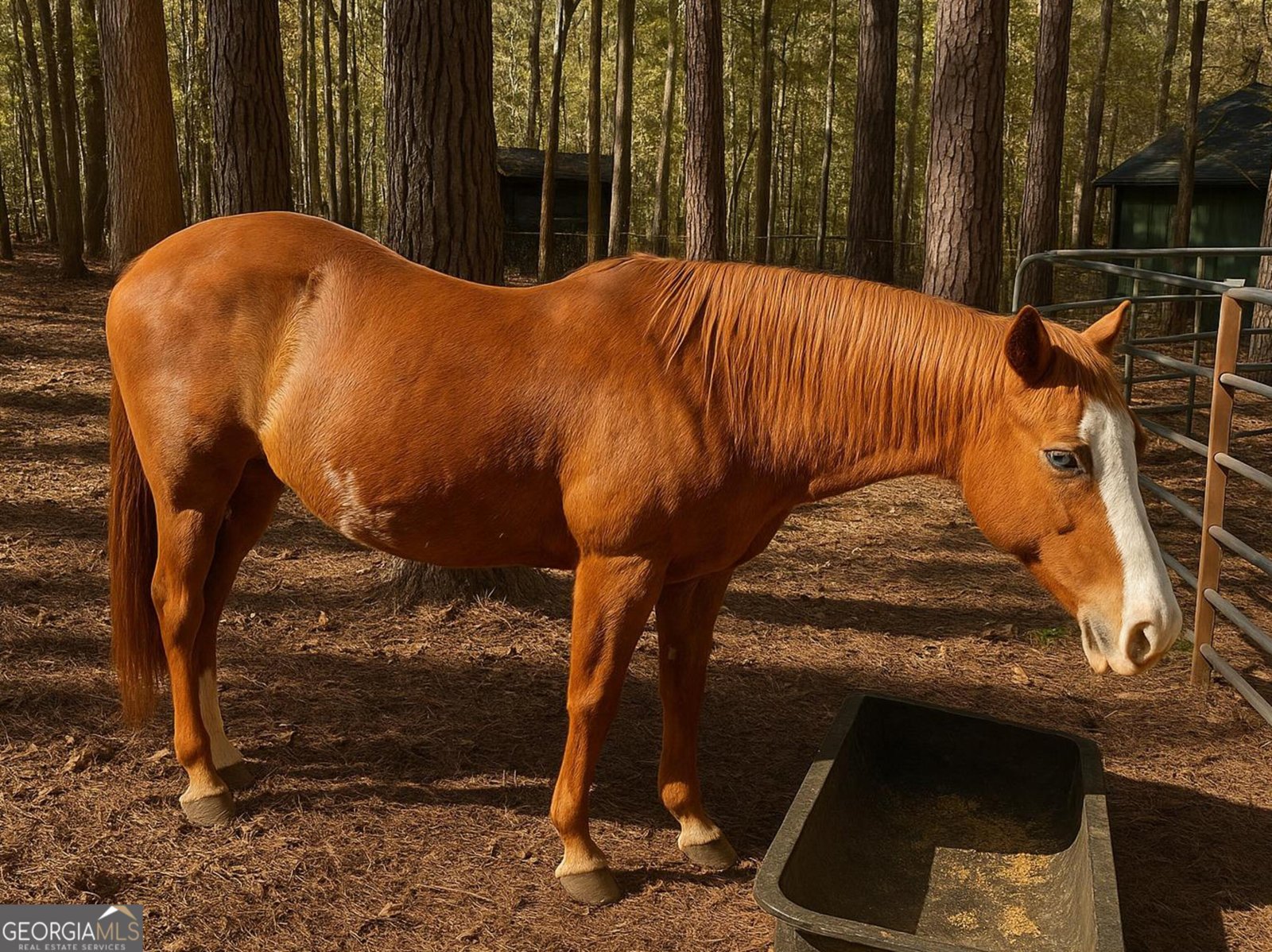 486 Sweetwater Bend Villa Rica - 7