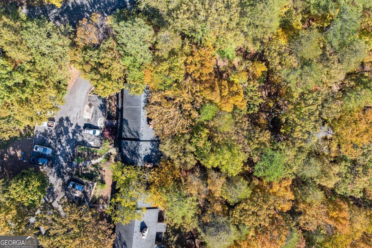 3 Mountain View Court Waleska - 39