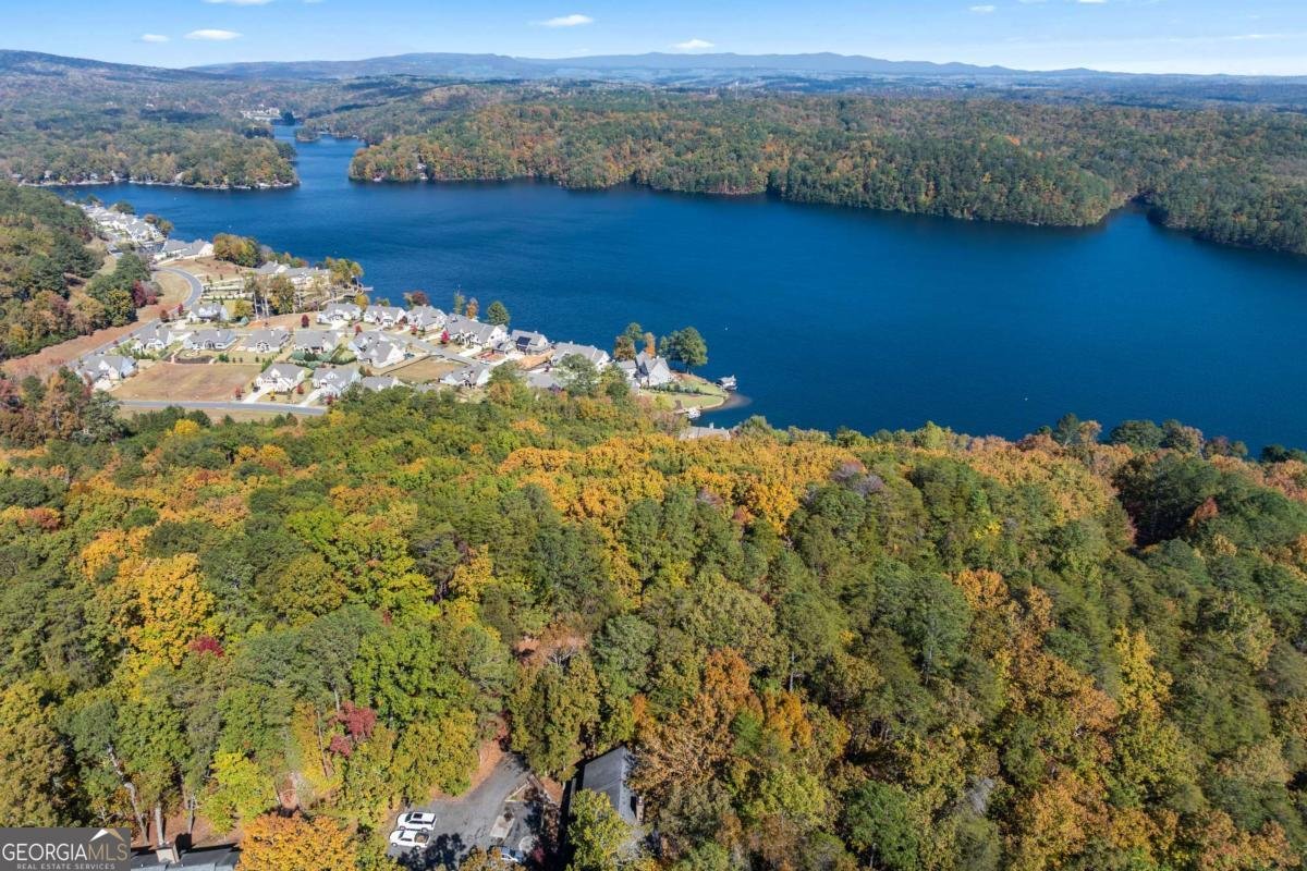 3 Mountain View Court Waleska - 42