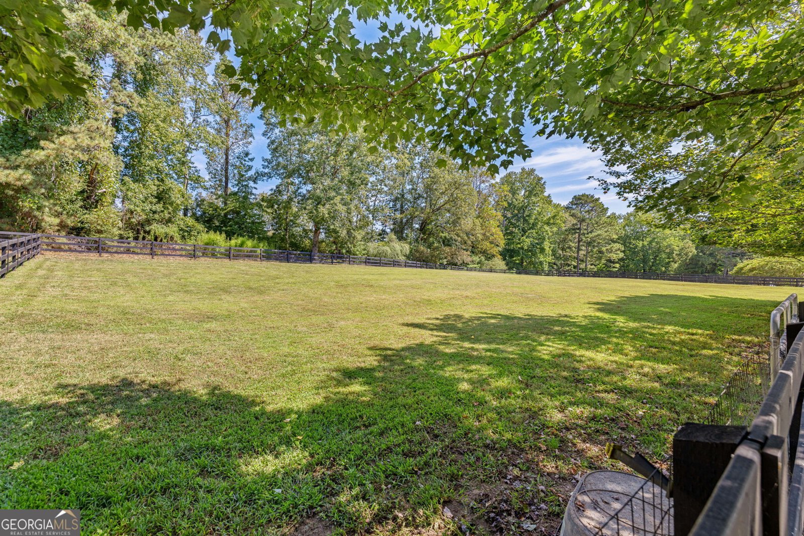 3608 Sunflower Drive Buford - 43