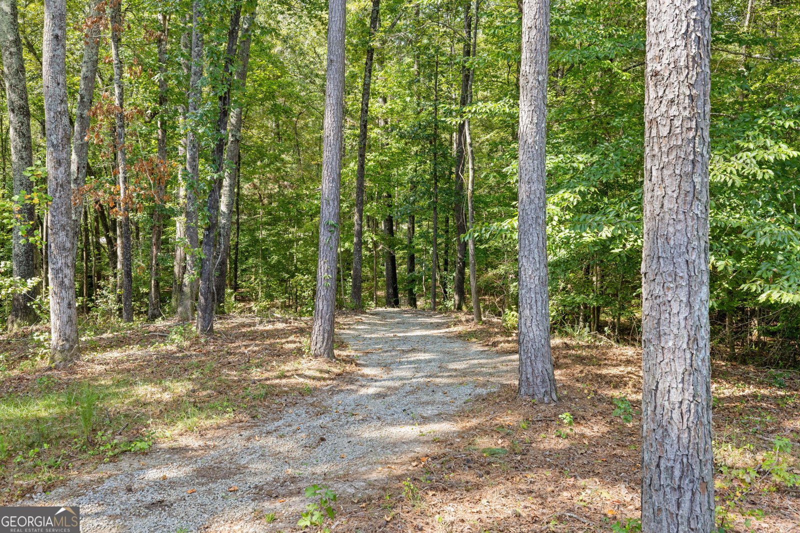 3608 Sunflower Drive Buford - 45