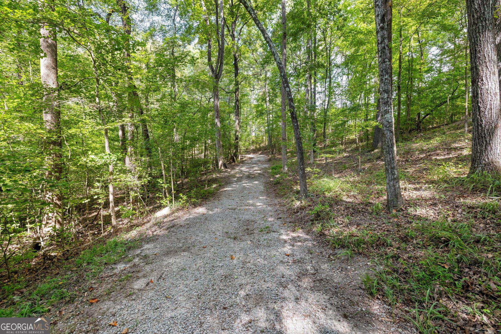 3608 Sunflower Drive Buford - 46