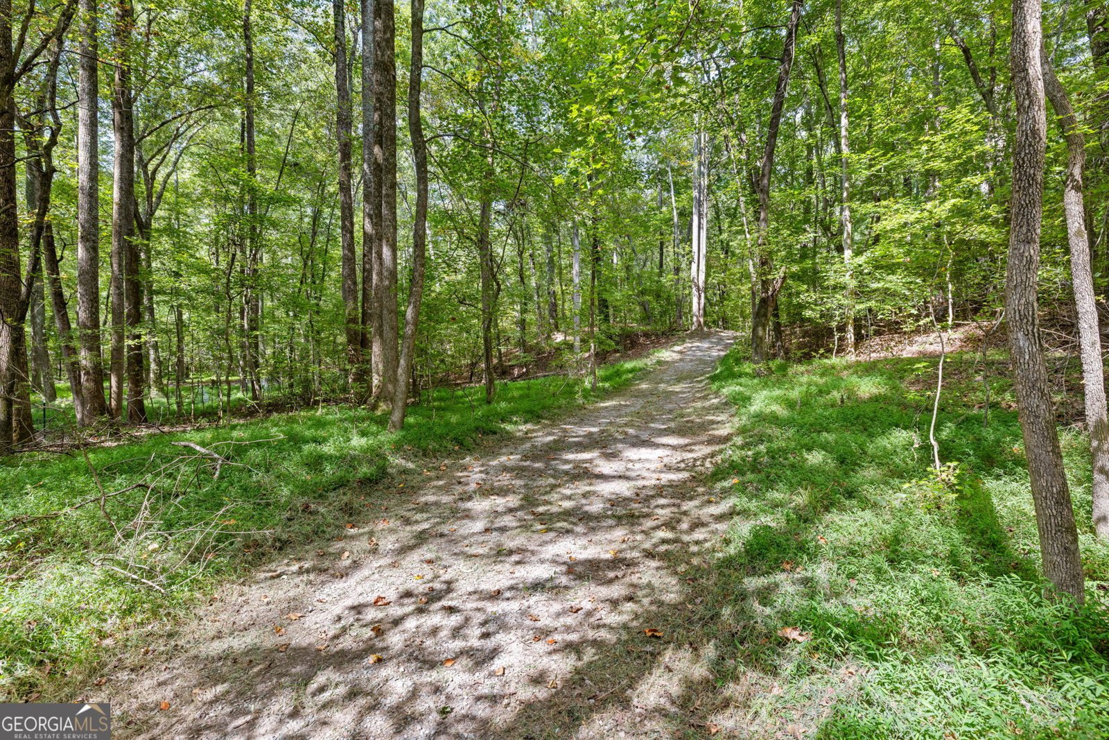 3608 Sunflower Drive Buford - 47