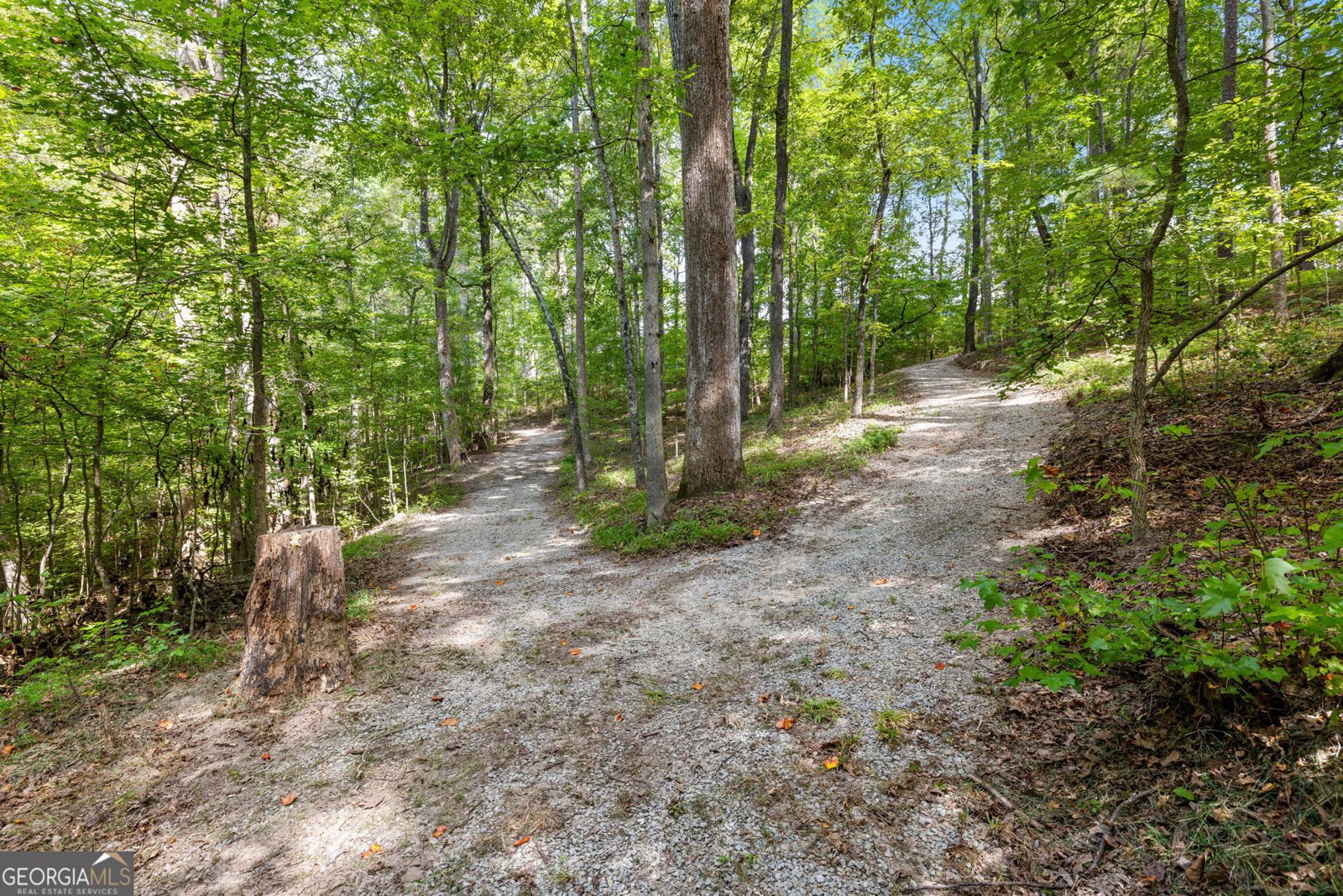 3608 Sunflower Drive Buford - 48