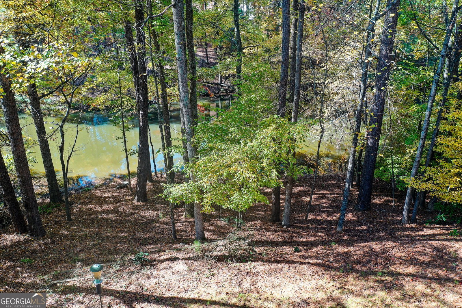 920 Waters Reach Court Alpharetta - 49