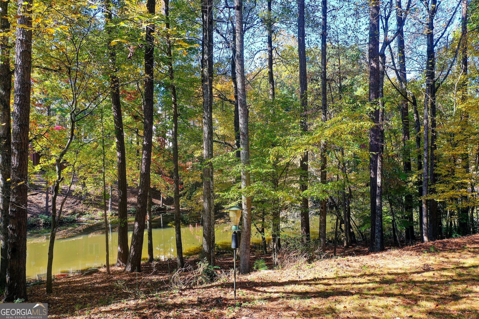 920 Waters Reach Court Alpharetta - 50