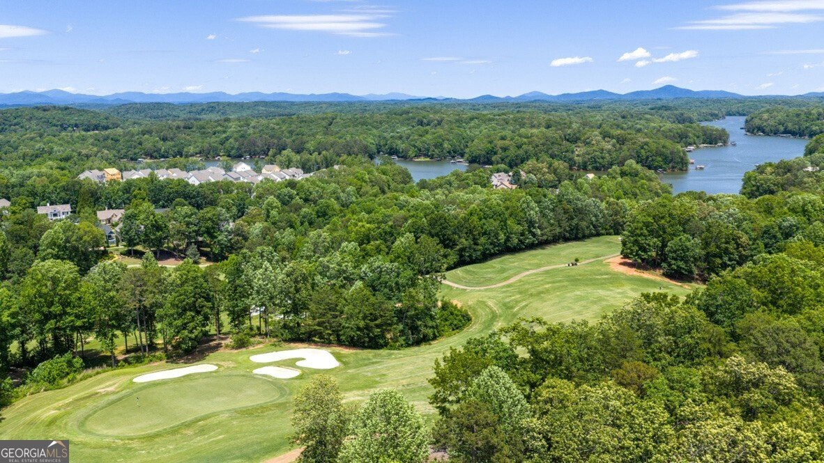 98 Hughes Place Drive Dawsonville - 42