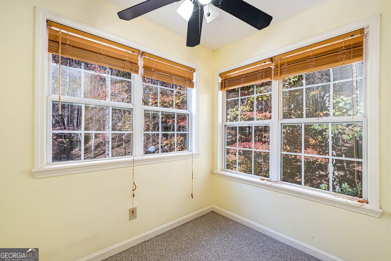 7929 Pea Ridge Road Lula - 24