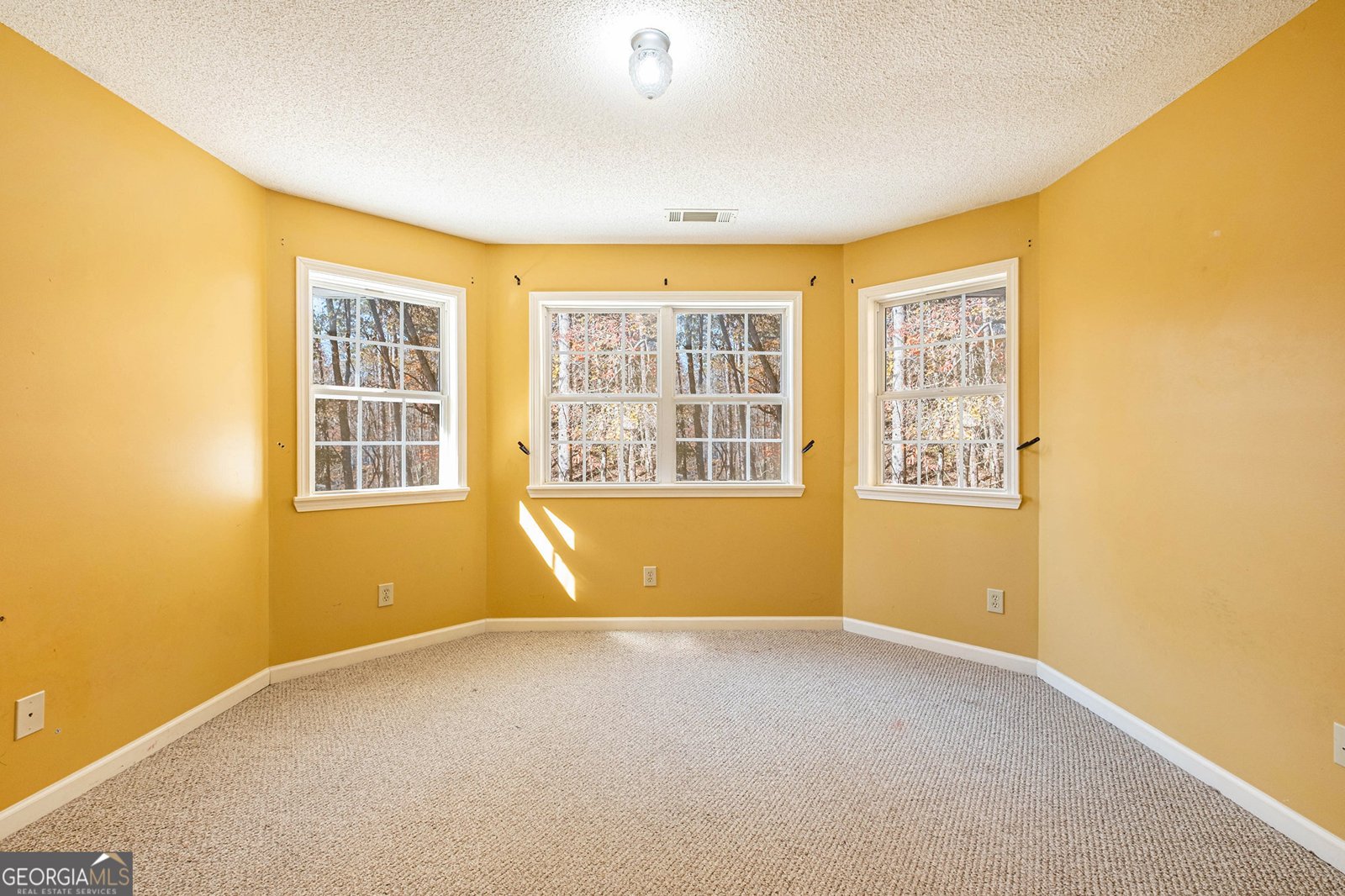 7929 Pea Ridge Road Lula - 26