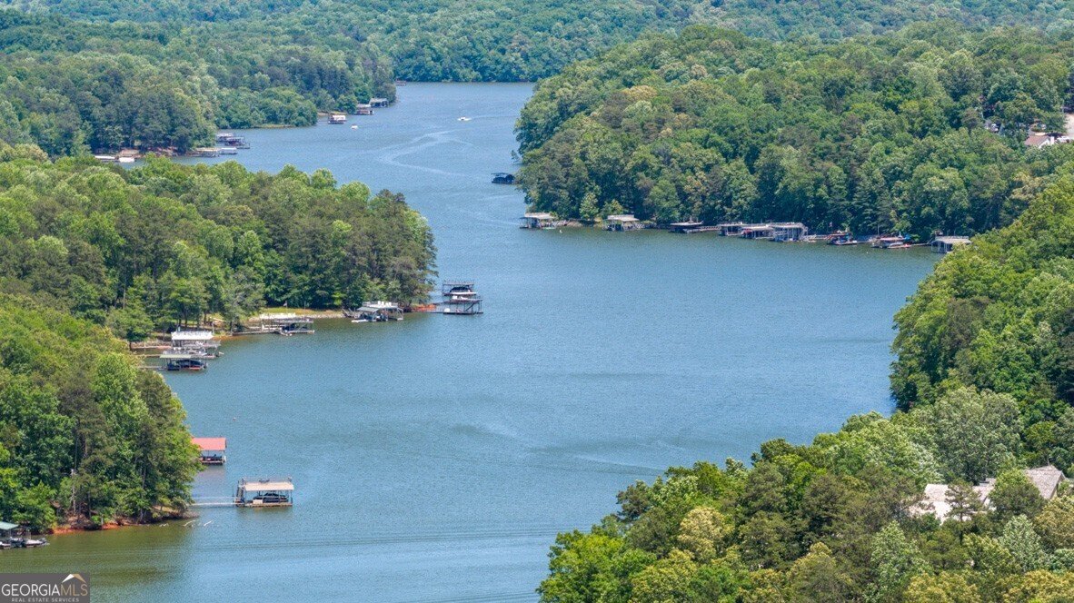 84 Hughes Place Drive Dawsonville - 55