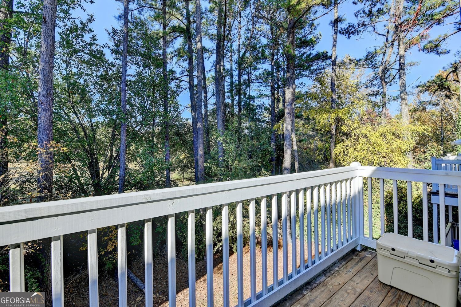 324 Teal Court Roswell - 37