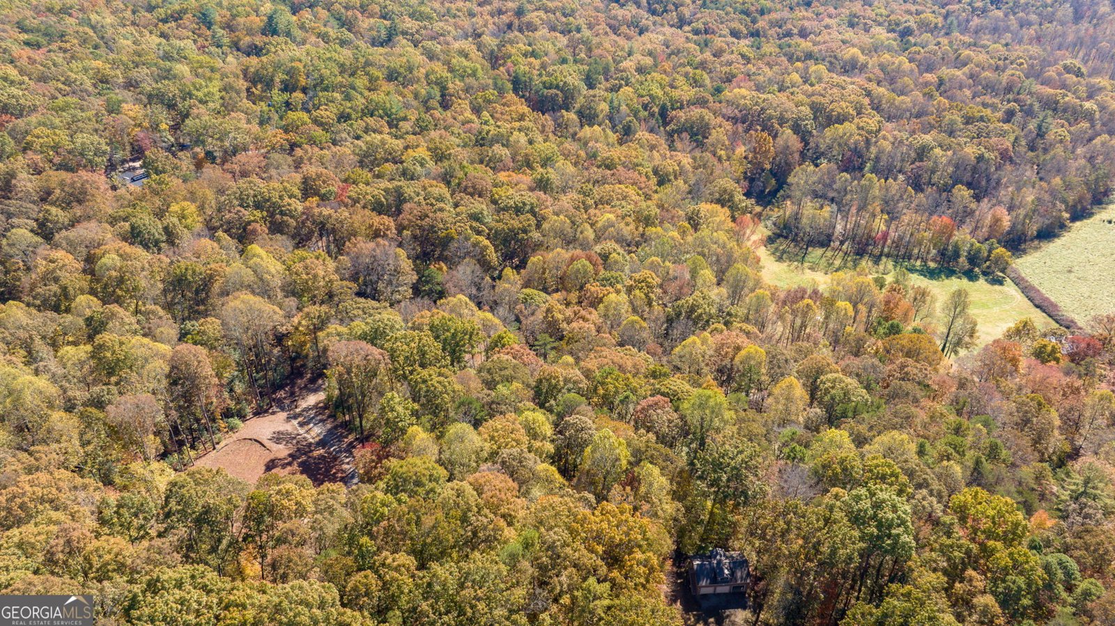 1010 Meadowview Ridge Clarkesville - 55