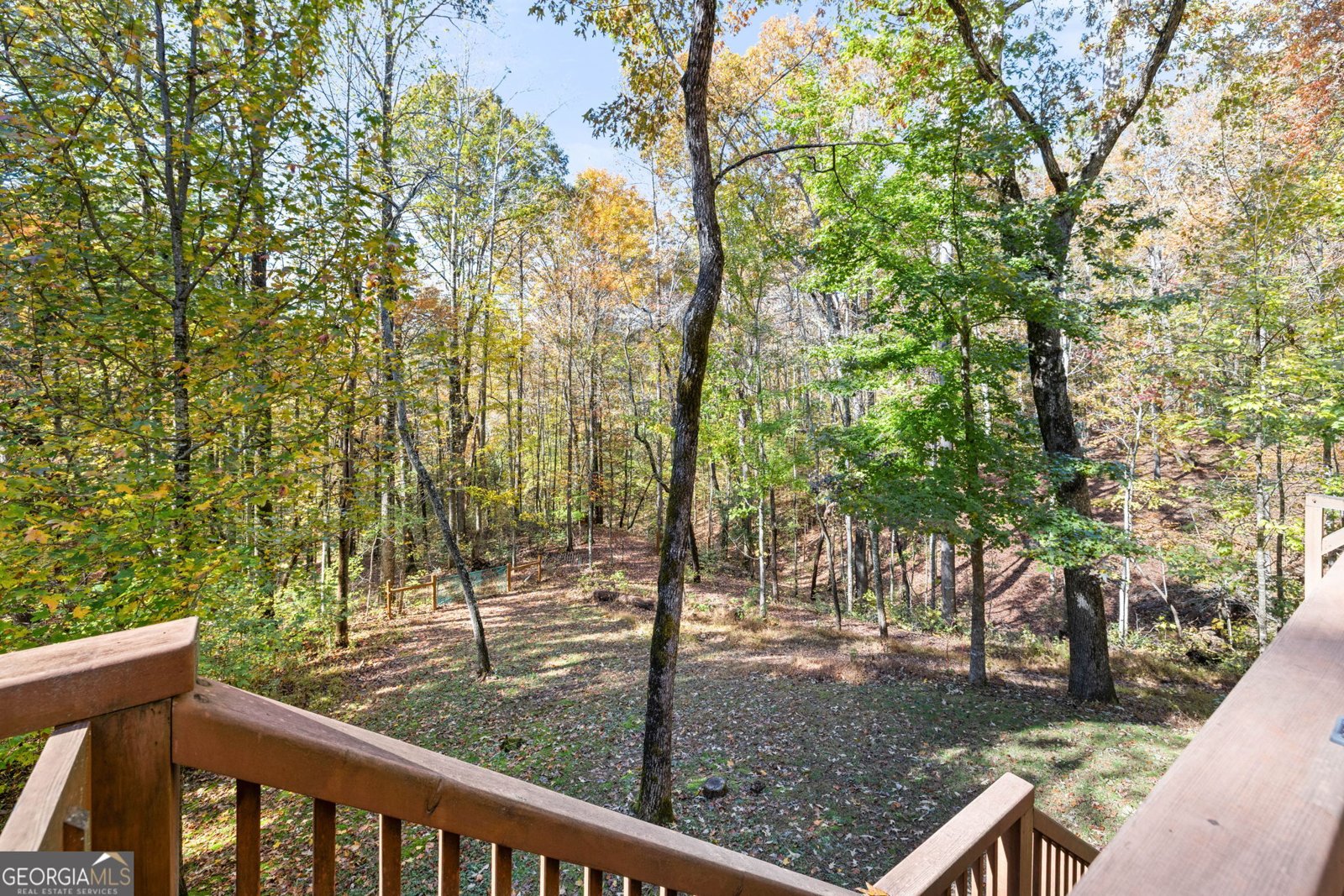 1010 Meadowview Ridge Clarkesville - 9
