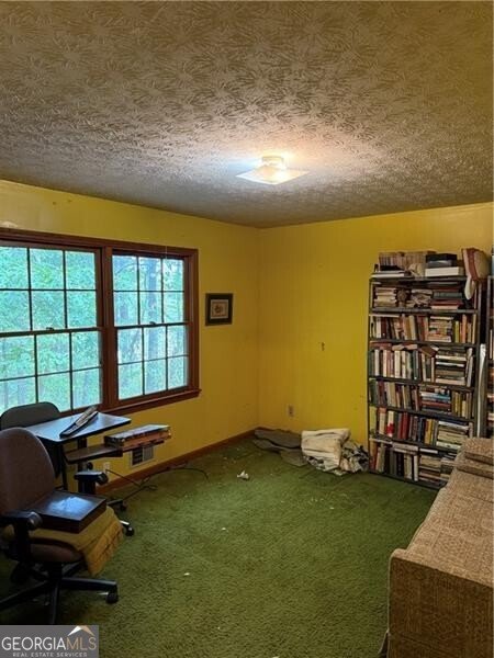 4155 Burnt Hickory Road Marietta - 13